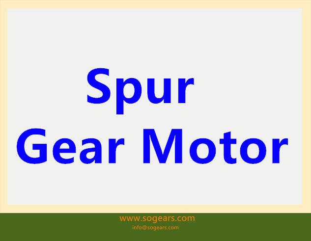 Spur Gear Motor